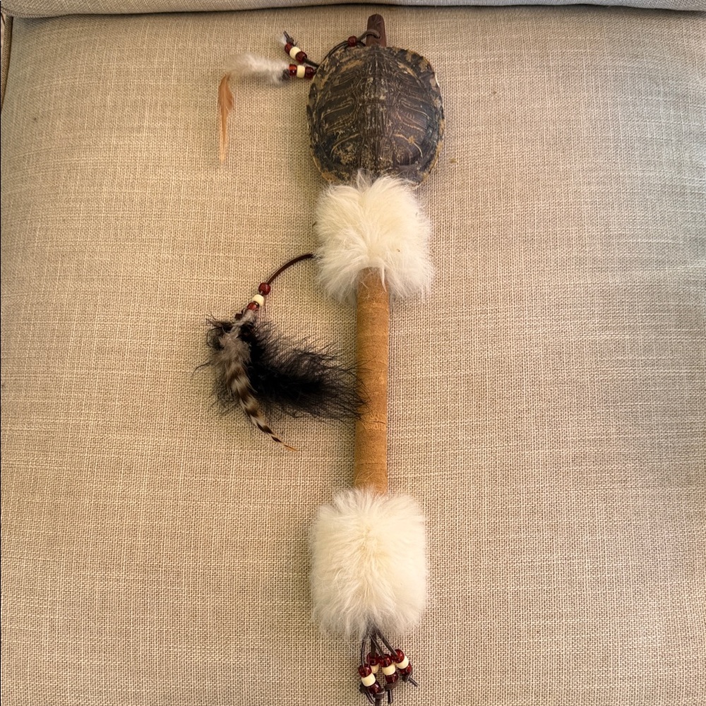 Natural Turtle Shell Reptile rattle